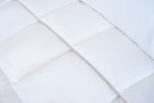 โหลดรูปภาพลงในเครื่องมือใช้ดูของ Gallery goose down duvet