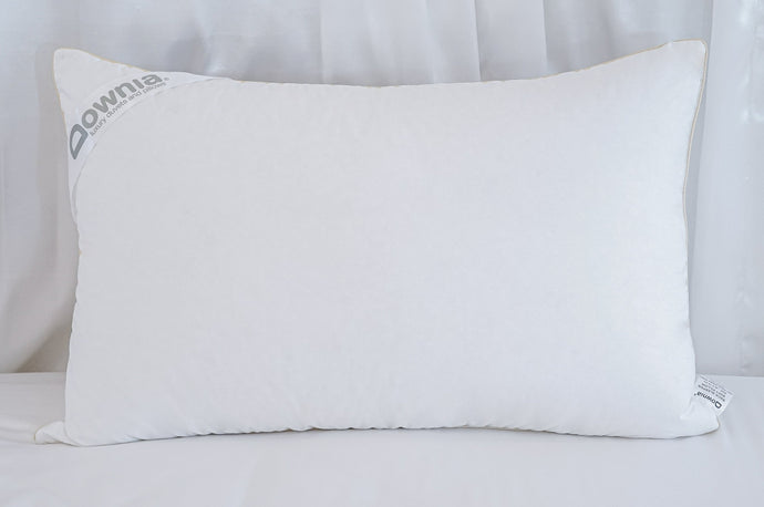 goose down pillow