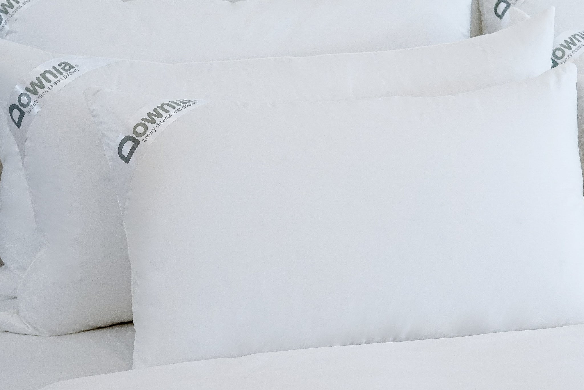Downia sale online