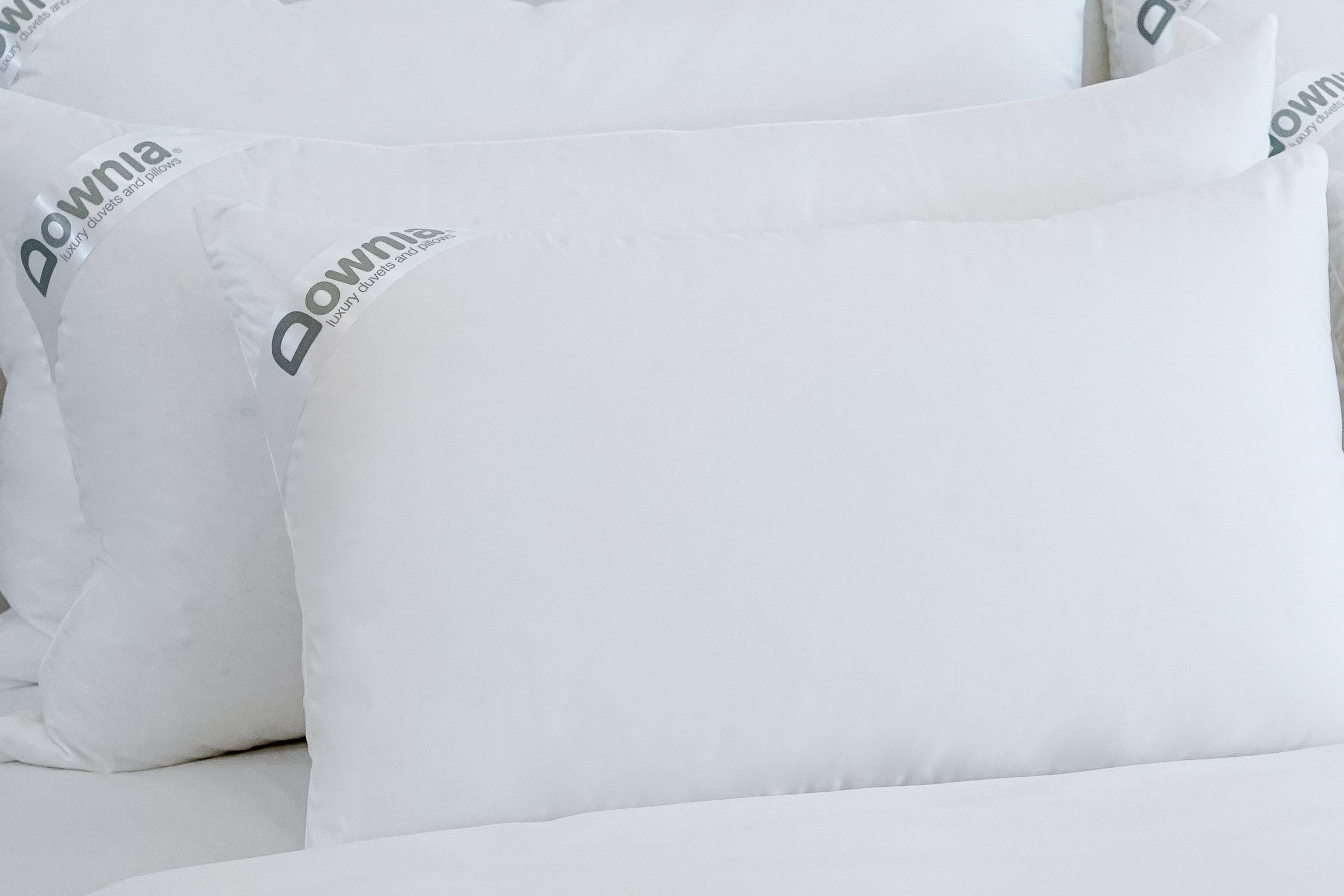 Downia sales hotel collection